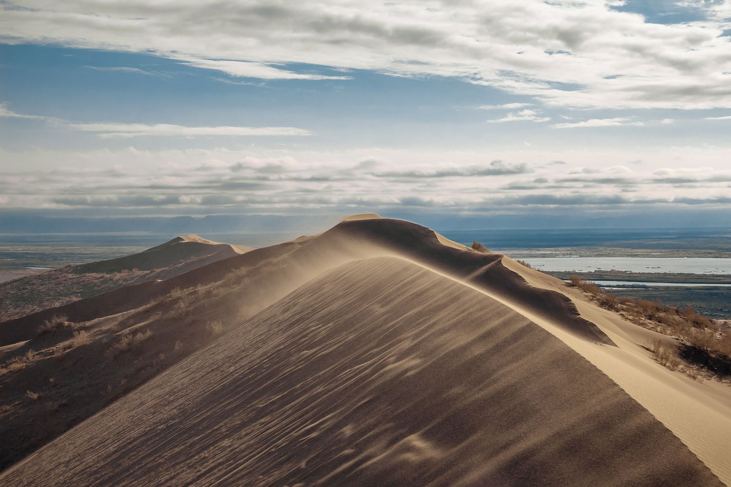 Wild Nomads
