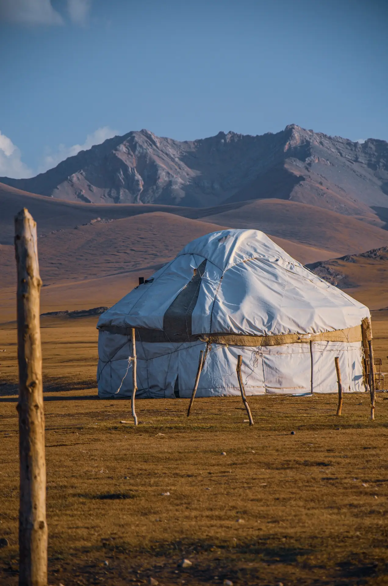 Wild Nomads